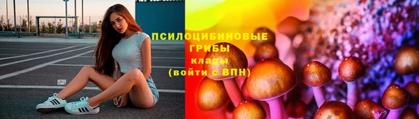 первитин Инта