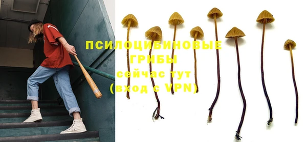 первитин Инта
