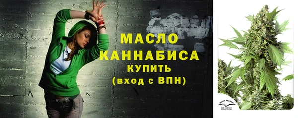 первитин Инта