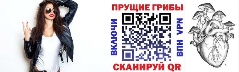 Псилоцибиновые грибы GOLDEN TEACHER  Купить  Меленки 